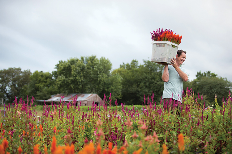 FULL BLOOM FLOWER FARM!, PepperHarrow